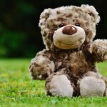 teddy, soft toy, stuffed animal, teddy bear, cute, toy, cuddly, plush, plush toy, stuffed toy, teddy, teddy bear, teddy bear, teddy bear, teddy bear, teddy bear, toy