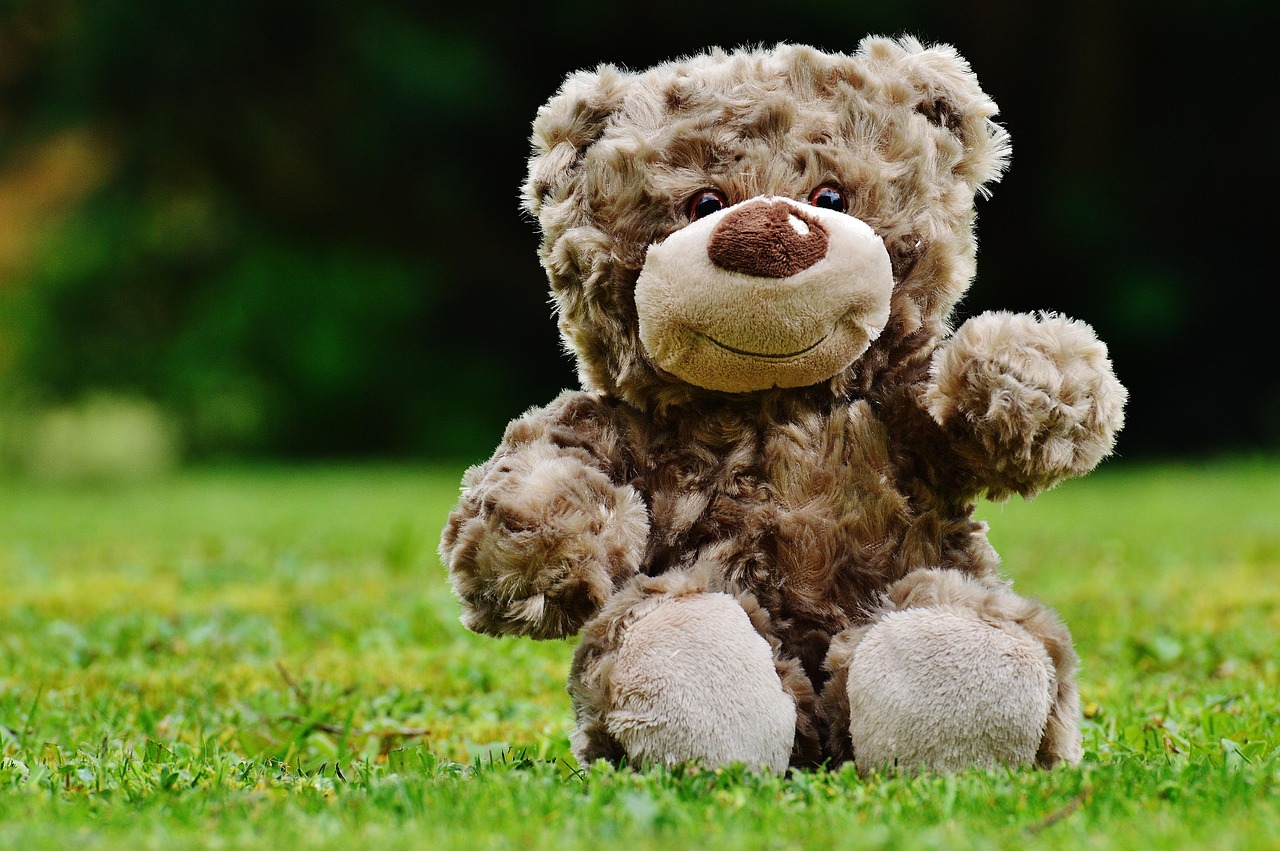 teddy, soft toy, stuffed animal, teddy bear, cute, toy, cuddly, plush, plush toy, stuffed toy, teddy, teddy bear, teddy bear, teddy bear, teddy bear, teddy bear, toy